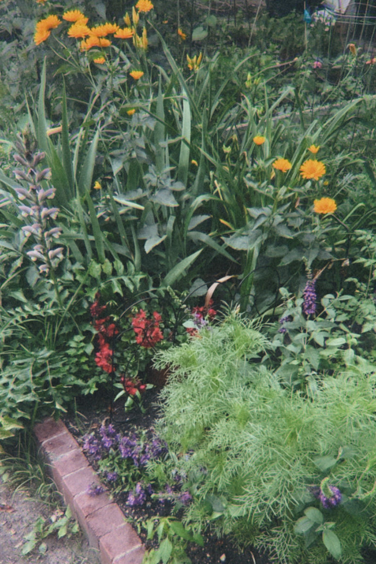 In a patch of green, hidden in the city